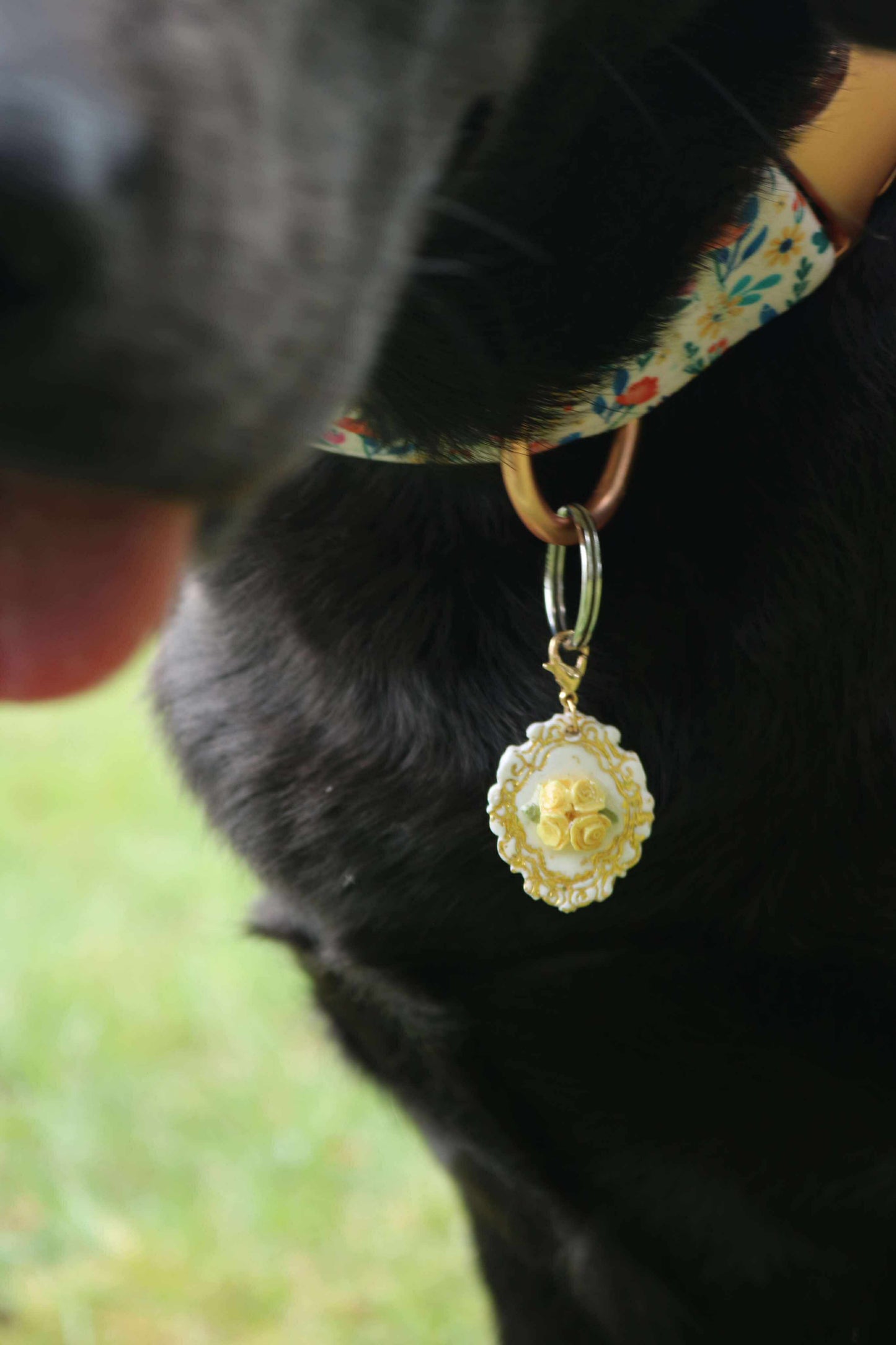 Anne Floral Pet ID Tag