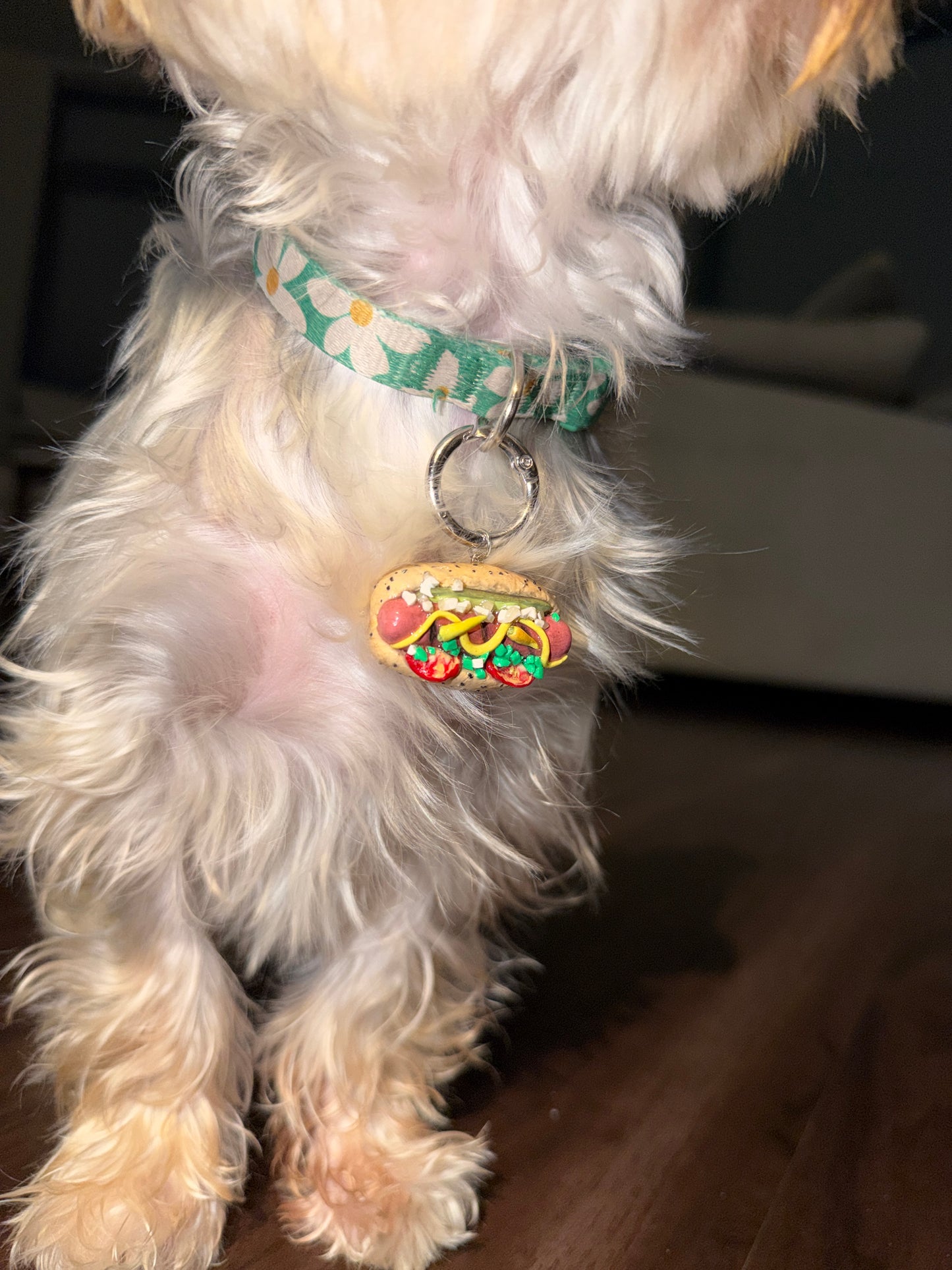 Chicago Style Hot Dog Pet ID Tag