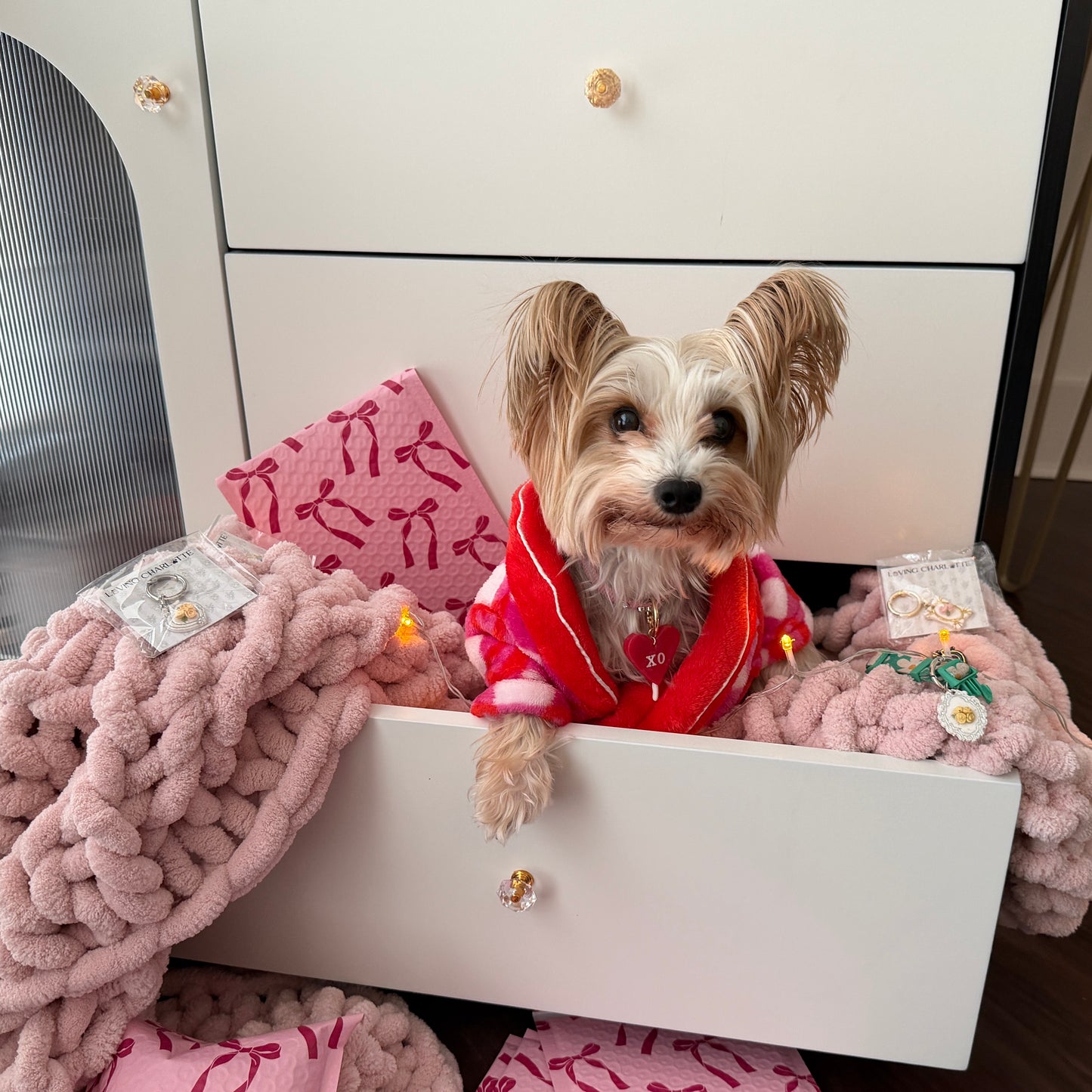 Small dog in a red robe sitting in a white dresser with pink blankets and pillows surrounded by pet tags and wearing heart shaped xo tag.