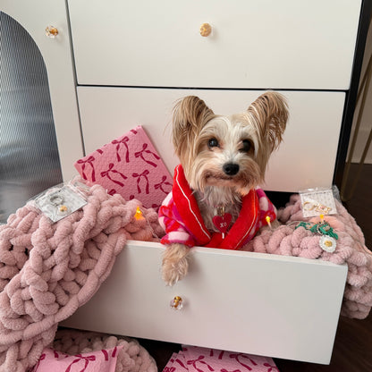 Small dog in a red robe sitting in a white dresser with pink blankets and pillows surrounded by pet tags and wearing heart shaped xo tag.