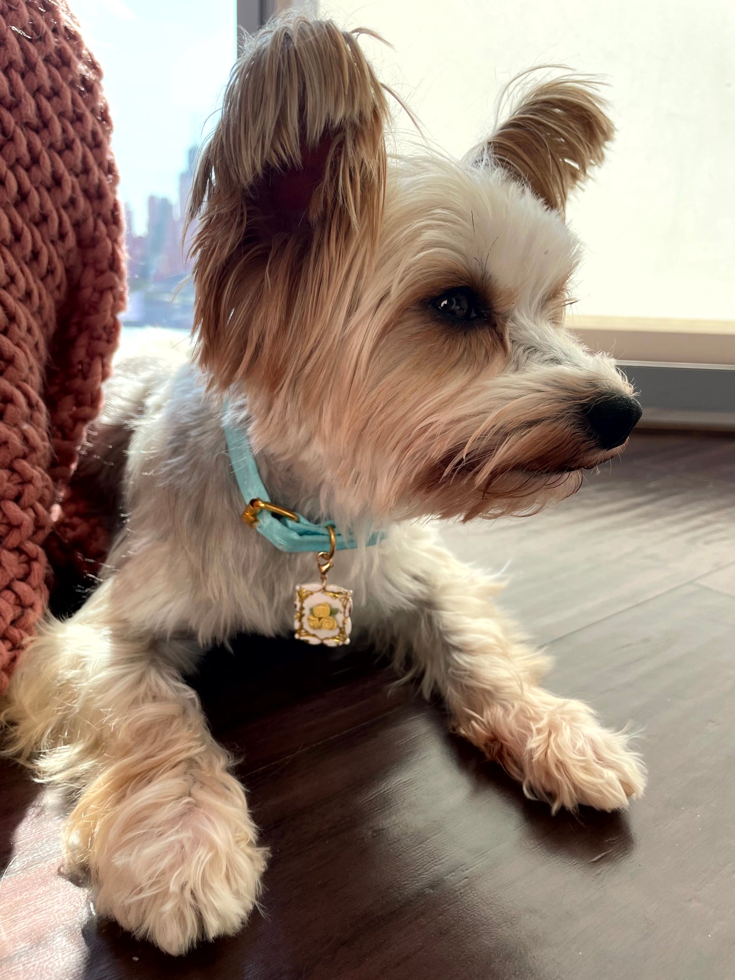 Catherine Floral Pet ID Tag