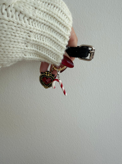 Model photo of red candy cane and black dog tag on a collar 
