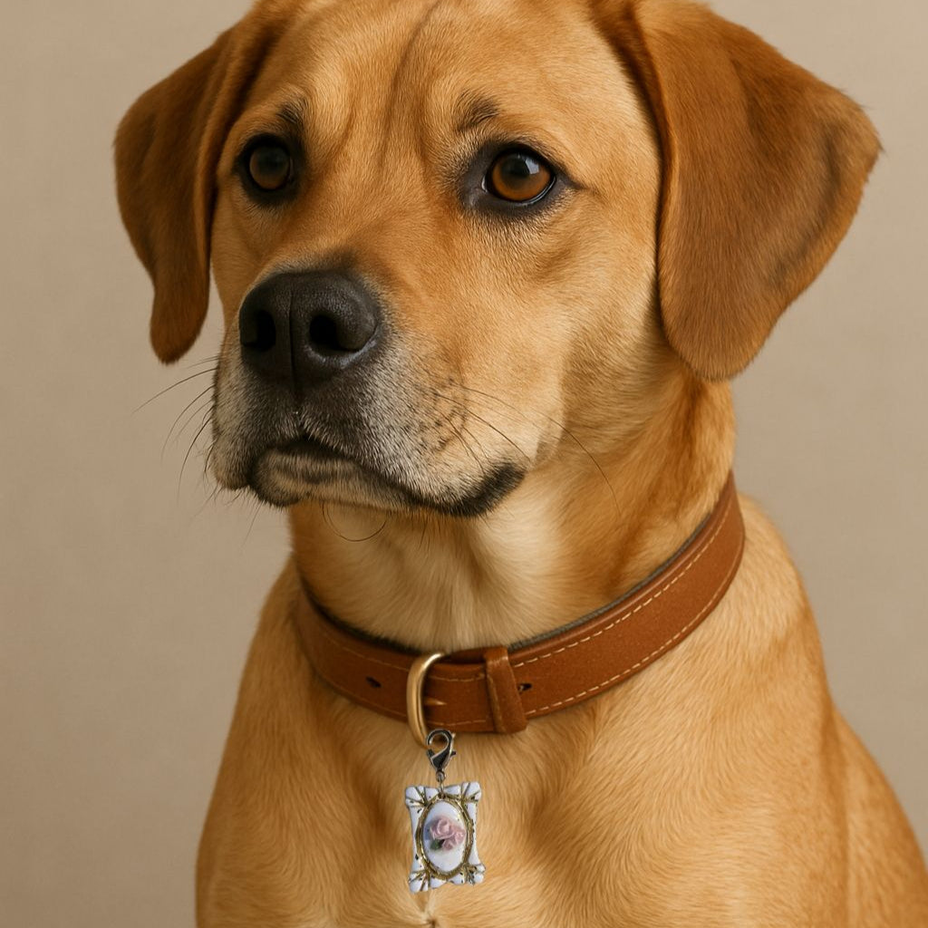 Brown dog wearing a brown leather collar with a tag on a beige background
