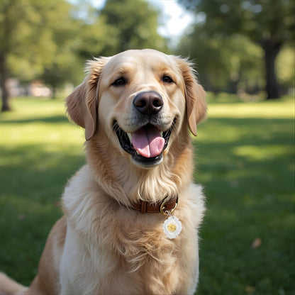 Anne Floral Pet ID Tag