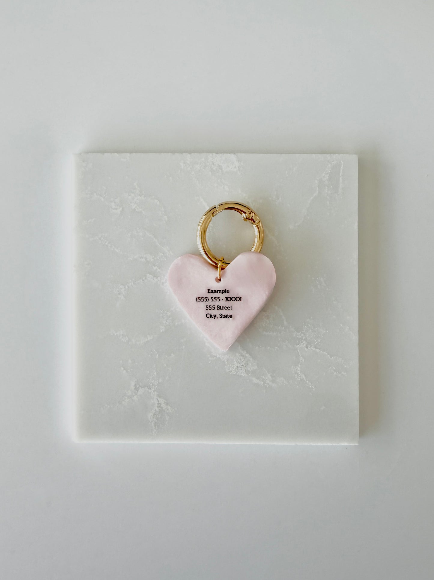 Simple Engraved Pet ID Tag
