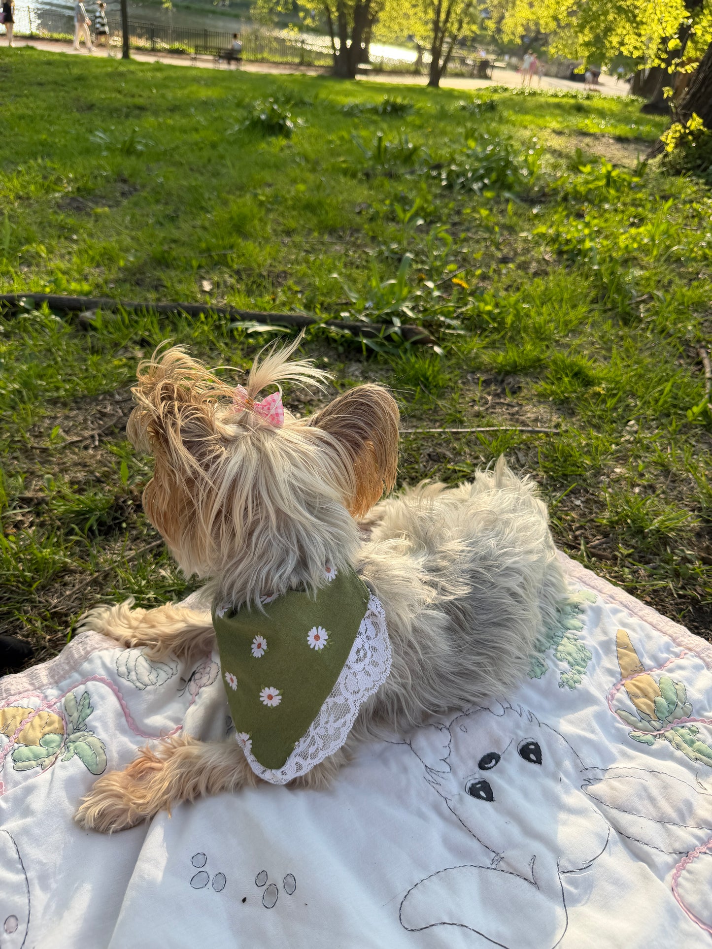 Small dog wearing a green bandana with white flowers, standing on a quilted surface with a grassy area in the background.