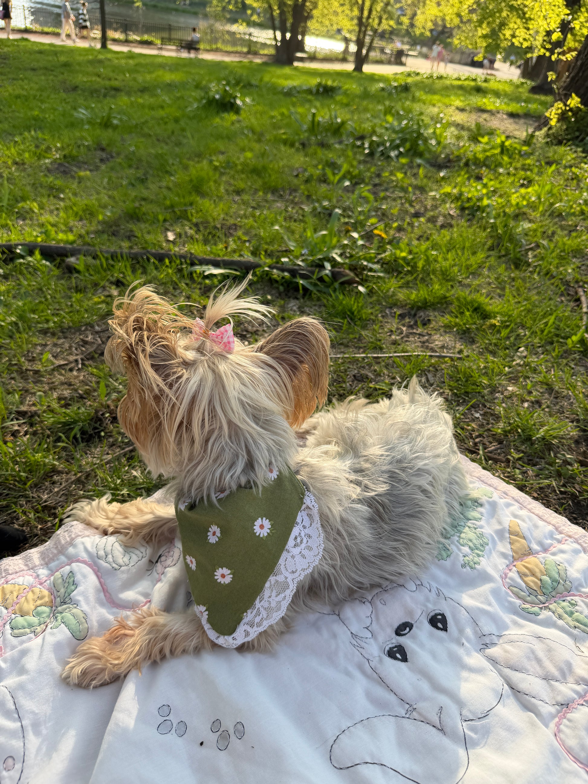 Small dog wearing a green bandana with white flowers, standing on a quilted surface with a grassy area in the background.
