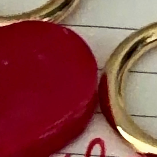 zoomed in clip of xo lollipop pet id tags sitting in a notebook with a love note written inside