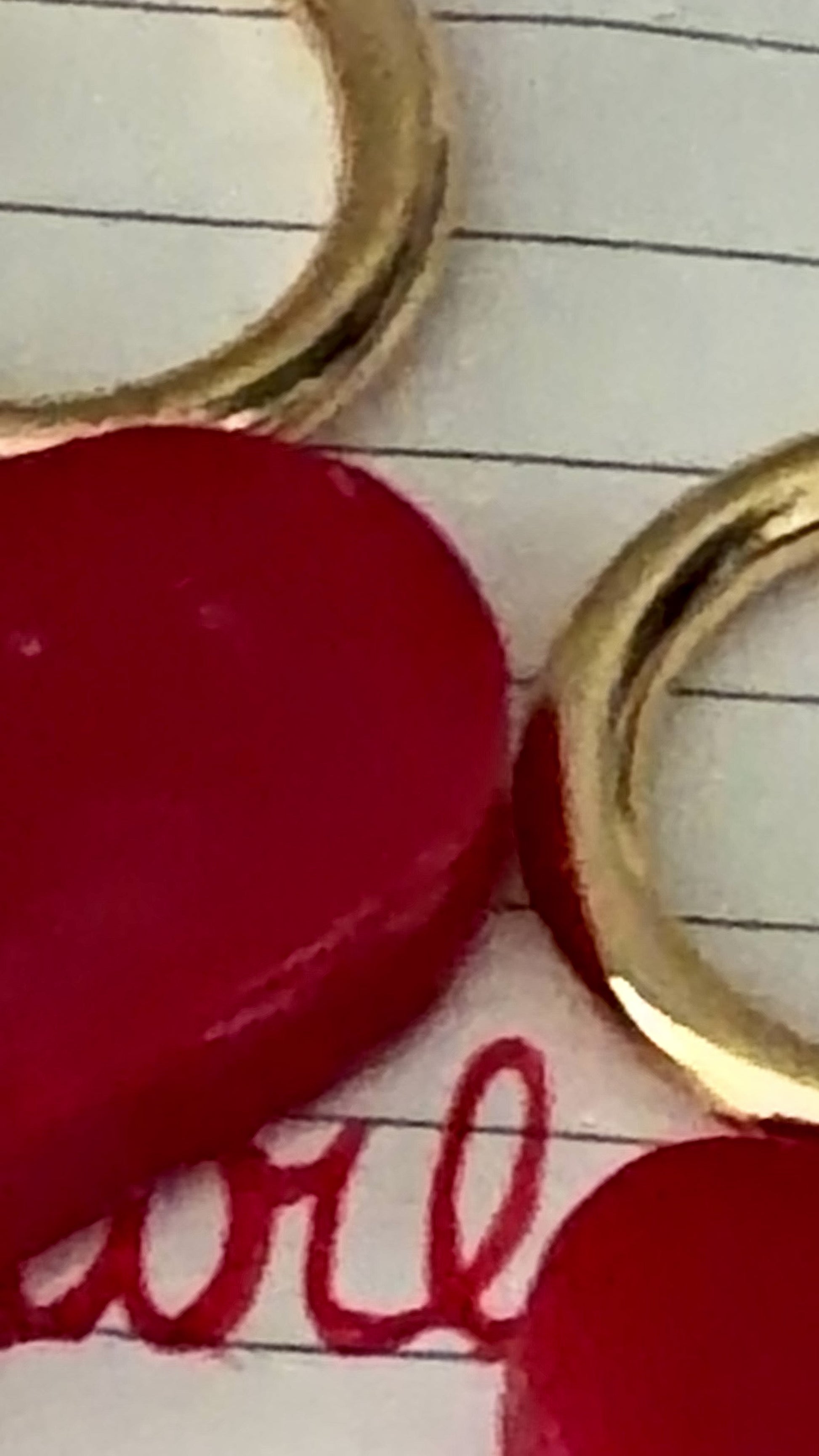 zoomed in clip of xo lollipop pet id tags sitting in a notebook with a love note written inside