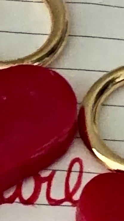 zoomed in clip of xo lollipop pet id tags sitting in a notebook with a love note written inside